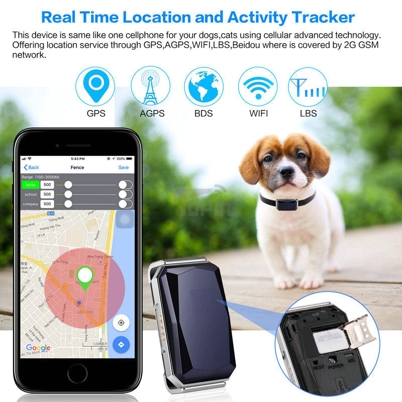 EDTara G12 GPS Smart Pet Locator – Waterproof, Real-Time Tracking Collar - Isla's Pet Boutique