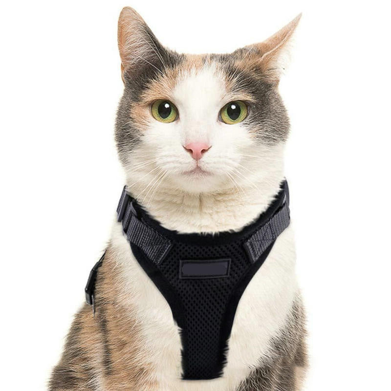 PawProwl™ No-Pull Cat & Small Dog Harness – Comfortable, Safe & Escape-Proof Design - Isla's Pet Boutique