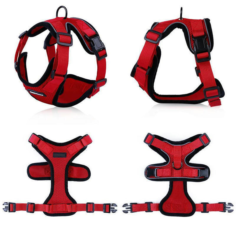 PawProwl™ No-Pull Cat & Small Dog Harness – Comfortable, Safe & Escape-Proof Design - Isla's Pet Boutique