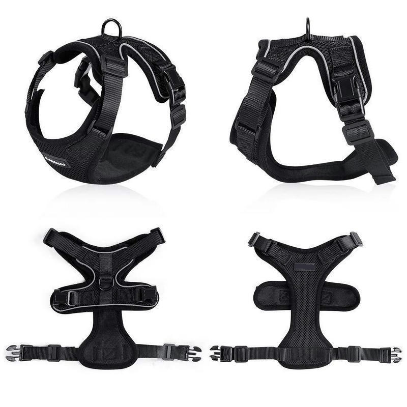 PawProwl™ No-Pull Cat & Small Dog Harness – Comfortable, Safe & Escape-Proof Design - Isla's Pet Boutique