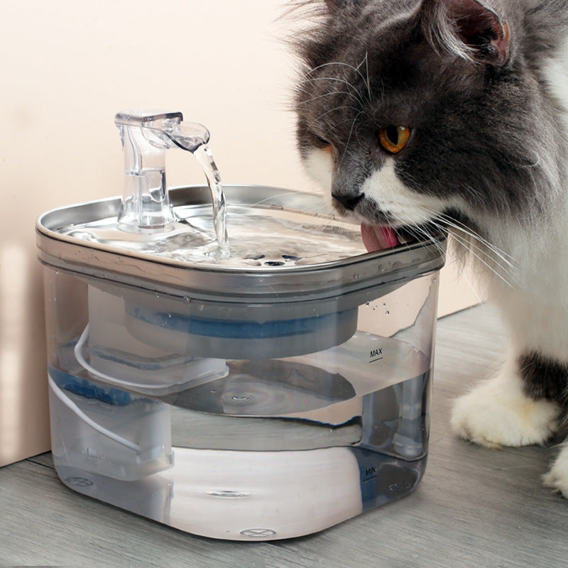 Smart Stainless Steel Pet Water Fountain - Isla's Pet Boutique