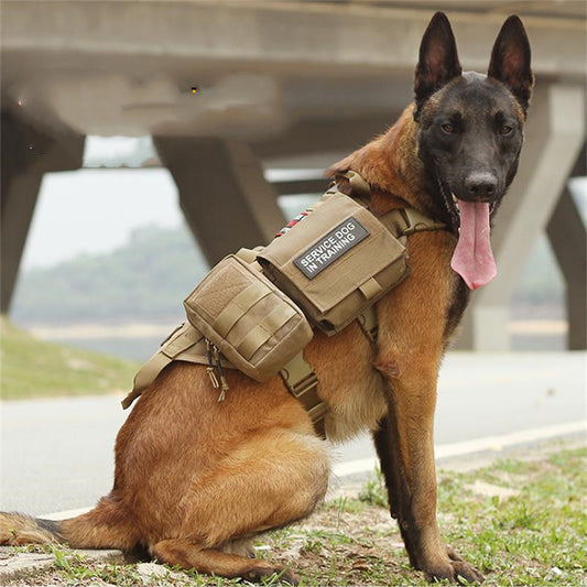 Tactical Dog Harness with Molle System – Adjustable Military-Grade Training Vest for All Breeds - Isla's Pet Boutique