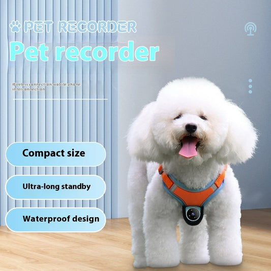 Pet Recorder Collar with GPS & HD Camera – Lightweight, Waterproof, Wide-Angle Pet Camera Collar - Isla's Pet Boutique