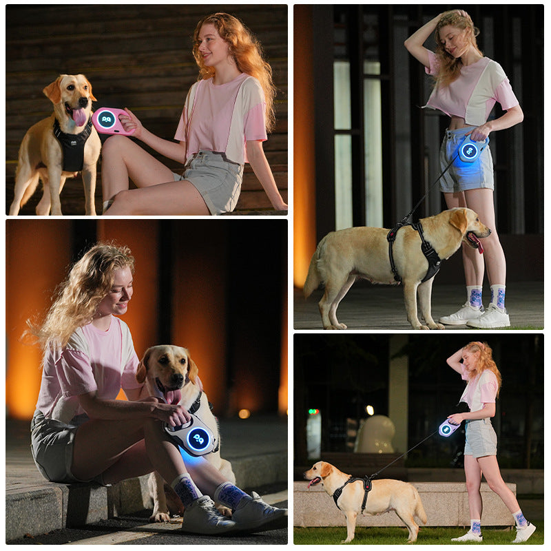 LED Retractable Dog Leash โ Rechargeable Light, Tangle-Free, Heavy-Duty Control for Safe Night Walks - Isla's Pet Boutique