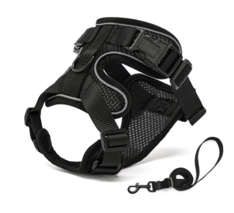 PawProwl™ No-Pull Cat & Small Dog Harness – Comfortable, Safe & Escape-Proof Design - Isla's Pet Boutique