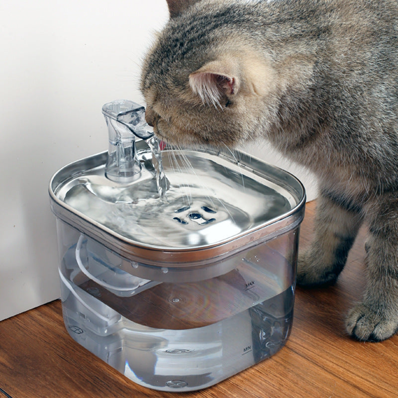 Smart Stainless Steel Pet Water Fountain - Isla's Pet Boutique