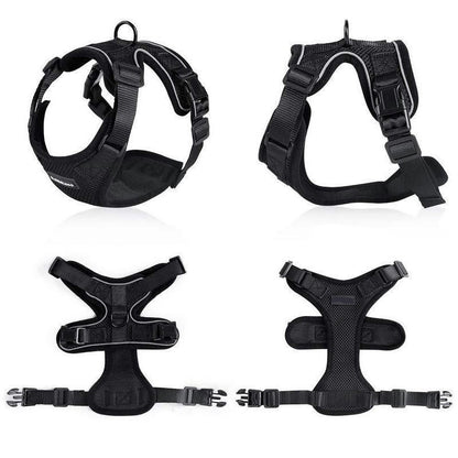 PawProwl™ No-Pull Cat & Small Dog Harness – Comfortable, Safe & Escape-Proof Design - Isla's Pet Boutique