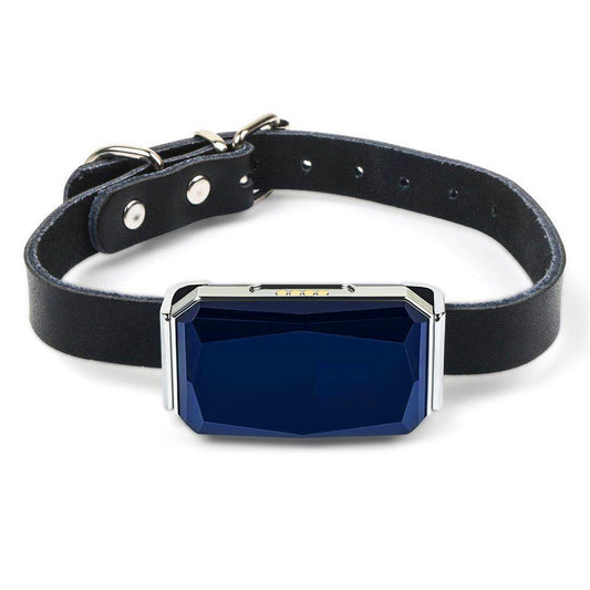 EDTara G12 GPS Smart Pet Locator – Waterproof, Real-Time Tracking Collar - Isla's Pet Boutique